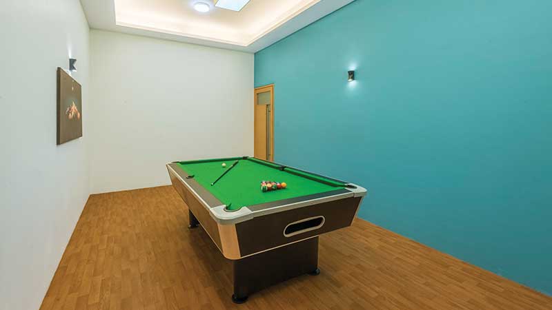 Ashok Meadows - Indoor Game